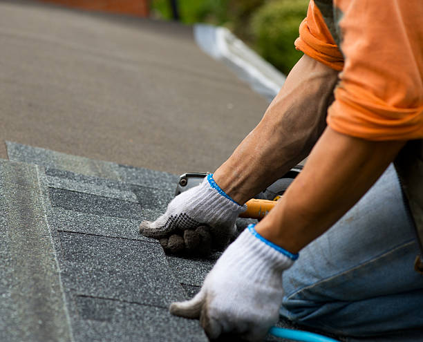 Best Roof Gutter Cleaning  in Madeira Beach, FL
